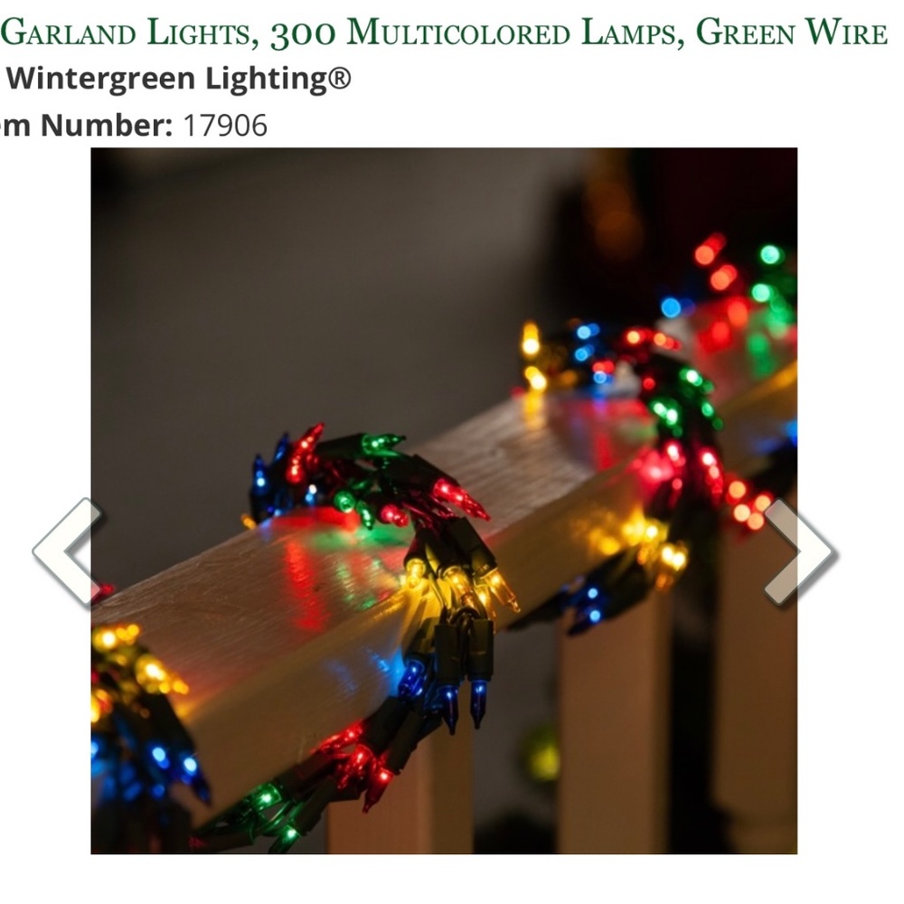 NEW in BAG Wintergreen Lighting  9' Garland, 300 Multicolored Lights- Green Wire